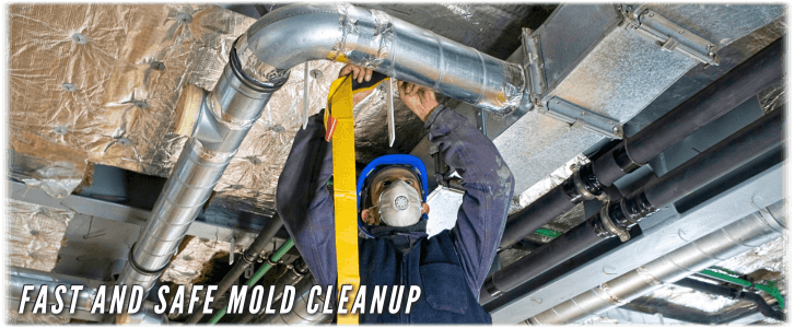 Air Duct Mold Removal in Staten Island NY