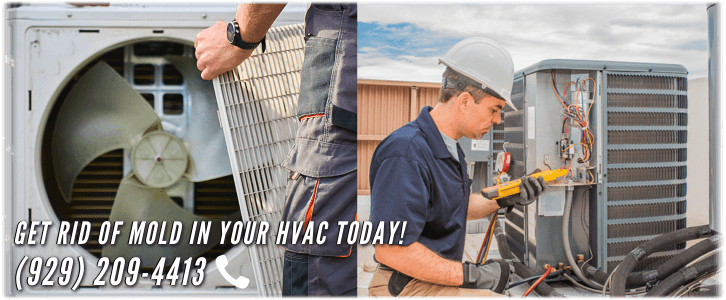 HVAC Mold Removal Staten Island NY